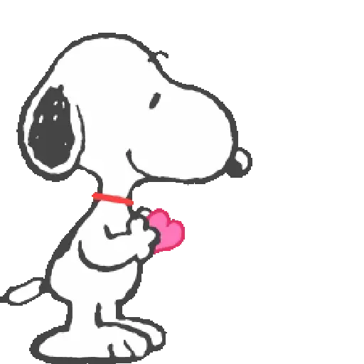 🩷💞💖 AMOR 💖💞🩷 8