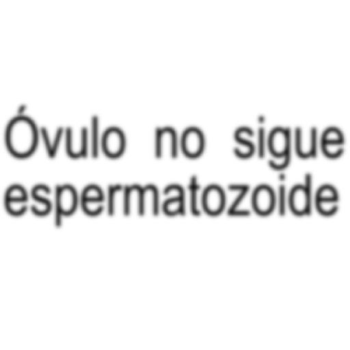 📝📍 TEXTO BRAT 📍📝 3