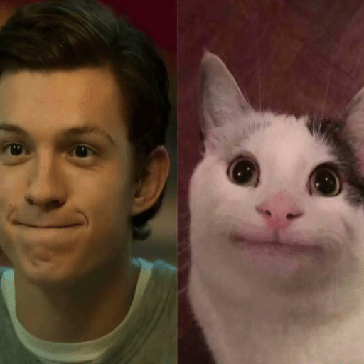 🕷TOM HOLLAND 2🦸🏻‍♂️Spider-Man🕷 4