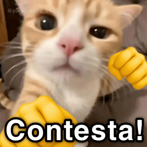 🐈🐈‍⬛🧶 GATOS 2 🧶🐈🐈‍⬛