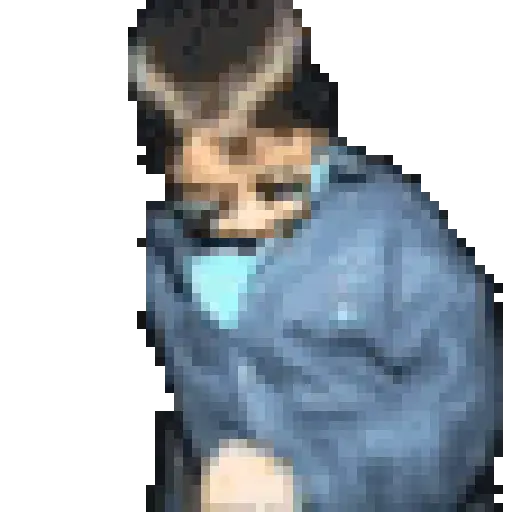 స్టికర్