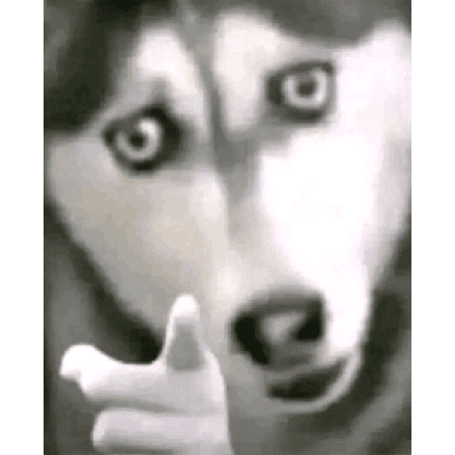 Xddddddd 5
