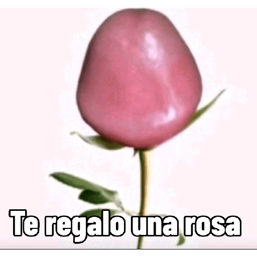 Xddddddd 7