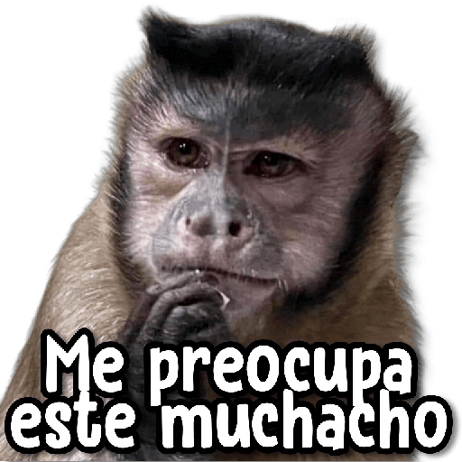Monitos Memes 1.0