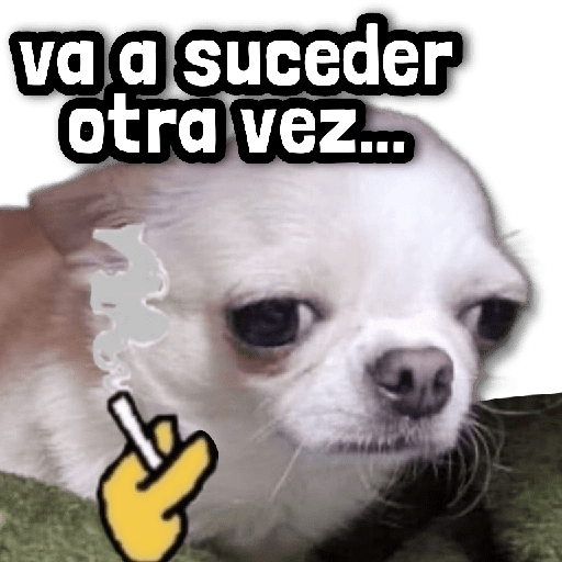 🐾 Perritos y Reacciones! 🔝