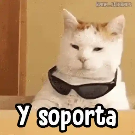 ✦ Bichitos con Frases 🐶 7