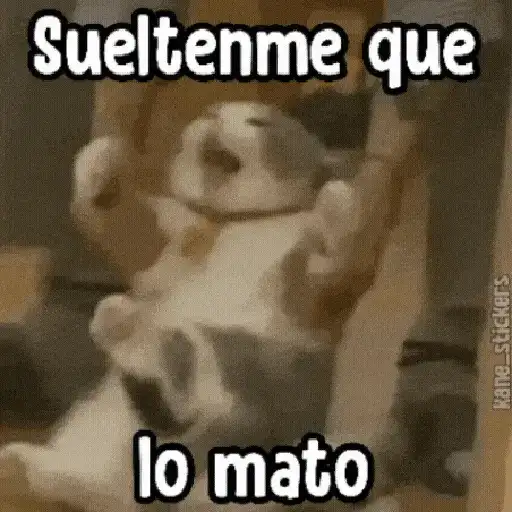 ✦ Bichitos con Frases 🐶 4
