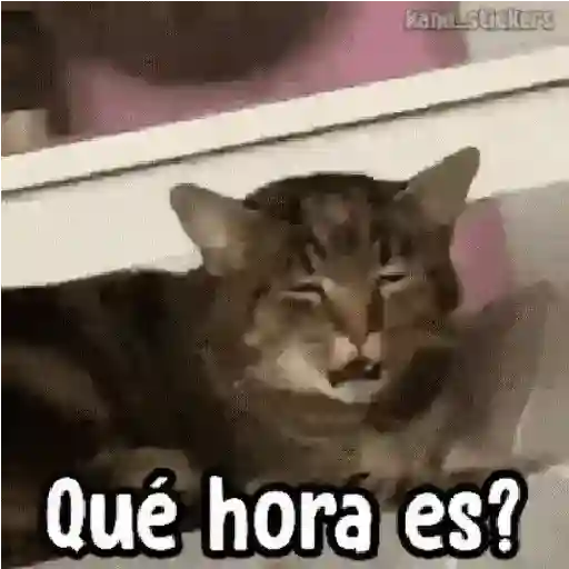 ✦ Bichitos con Frases 🐶 8