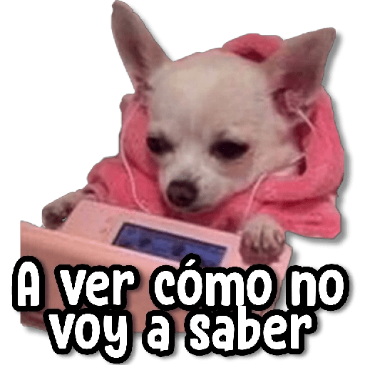Perritos con Frases #2