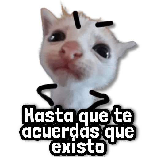🪨 COMBO de Stickers #8 5