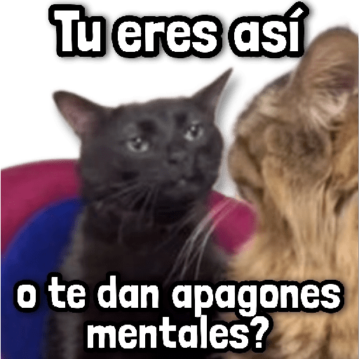 🪨 COMBO de Stickers #8 8