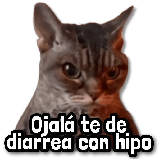 🪨 COMBO de Stickers #8 9
