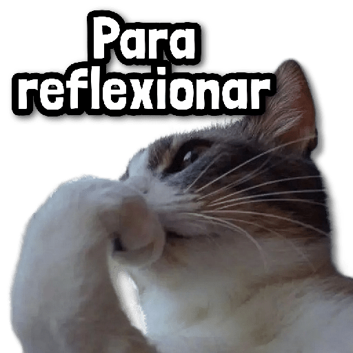 🪨 COMBO de Stickers #8 13