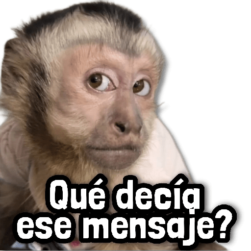 🪨 COMBO de Stickers #8 15