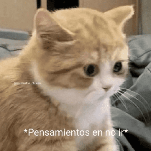 Stickers para Todo Momento 3