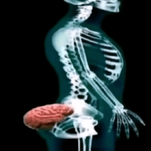 1767313964862.png