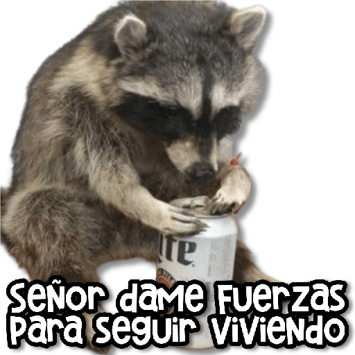 🎨 Stickers Para el Chat #➋
