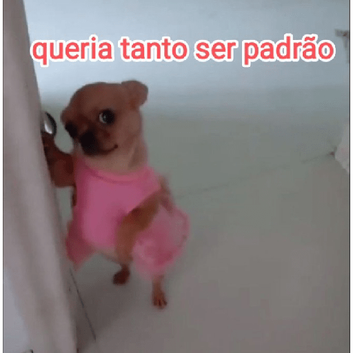 Lixeira do Twitter XI 12