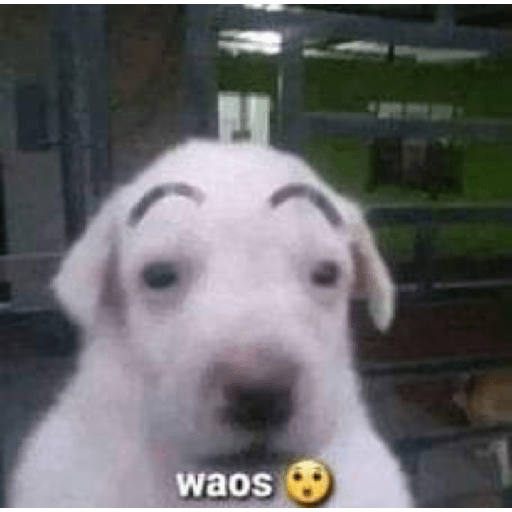 Sas 1