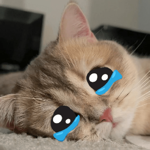 Cute Kitten 🥺 sticker