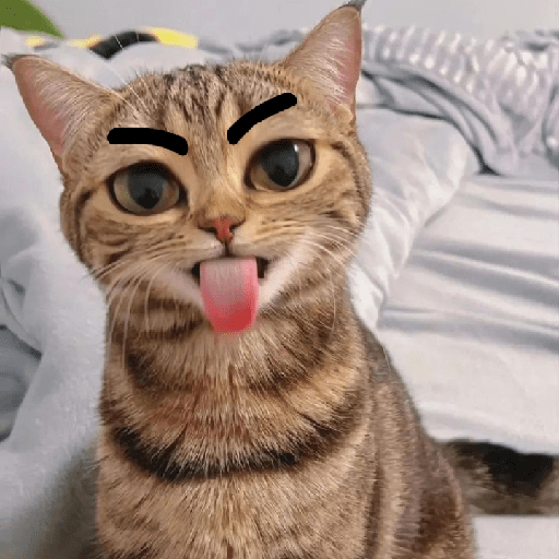 Cute Kitten 🥺 sticker
