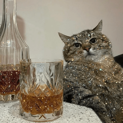 Gatos  1