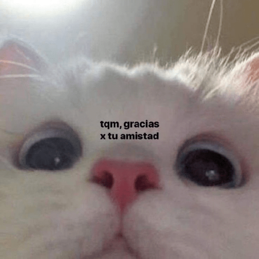 stikers de amor de gatitos