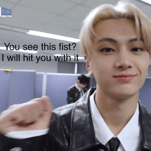 Enhypen meme 3 13