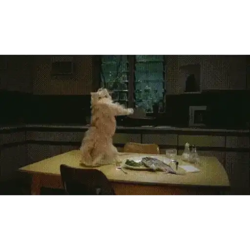 Cat 7