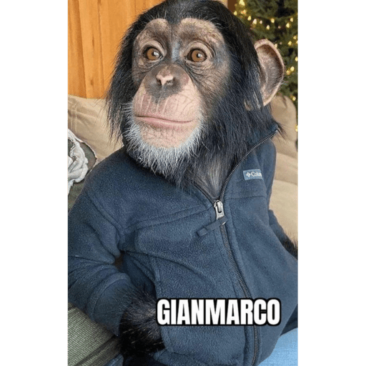 MEME A CASO 29