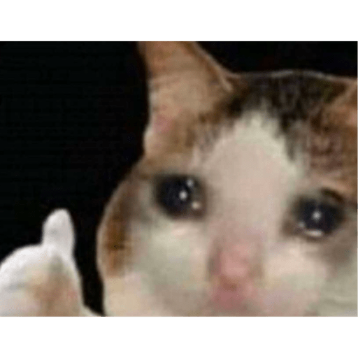 MEME A CASO 8