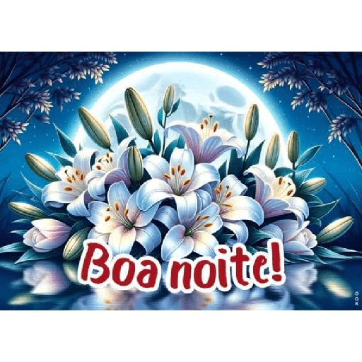 B dia, tarde e noite XXIII 25