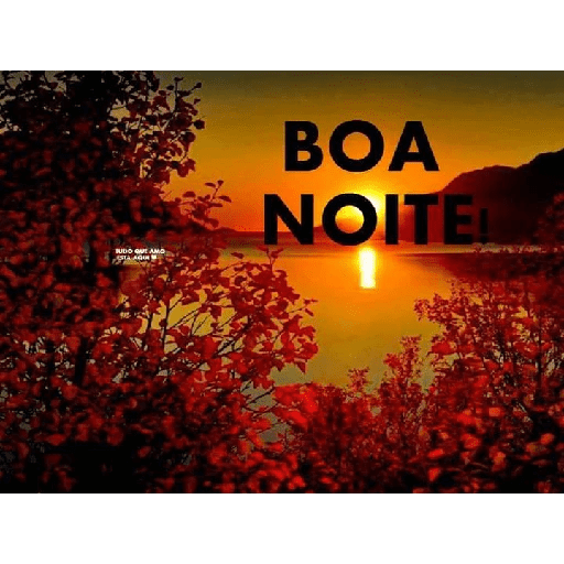 B dia, tarde e noite XXIII 12