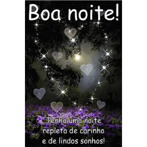 Boa noite  3