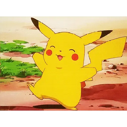 Zbqj 8