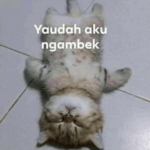 Gatau 11