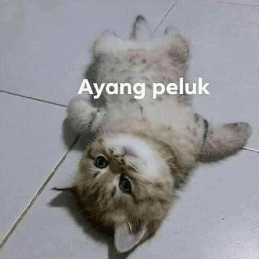 Gatau 9