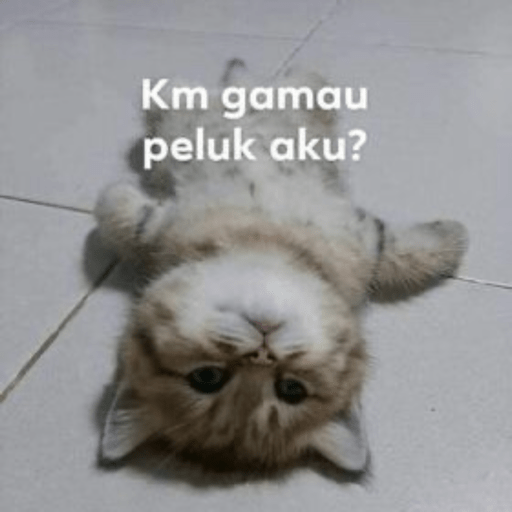 Gatau 10