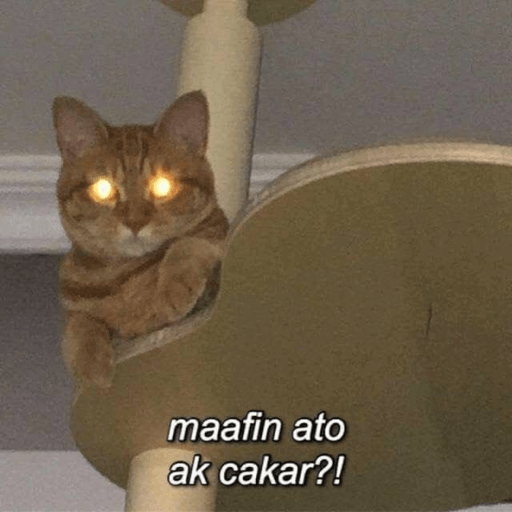 Gatau 4