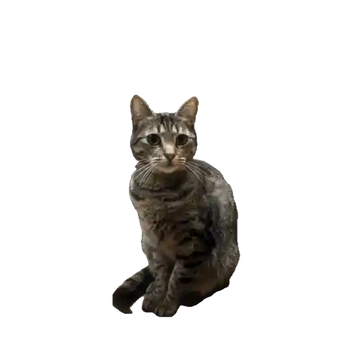 El Cuyo 4