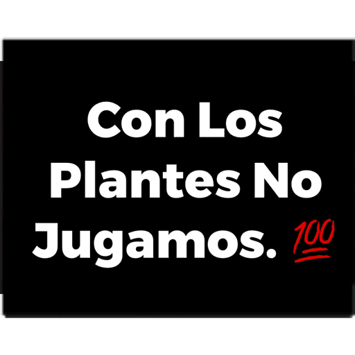 Mis pegatinas 11