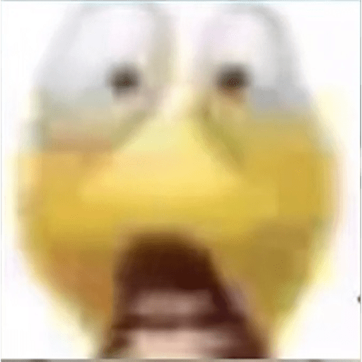 Memes del tiktok 5