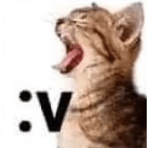 Memes del tiktok 4
