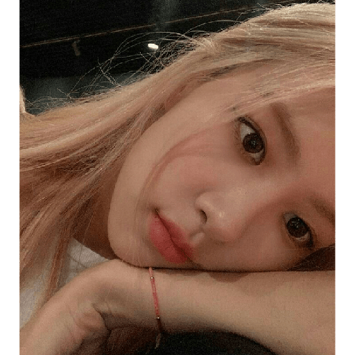 Rose 7