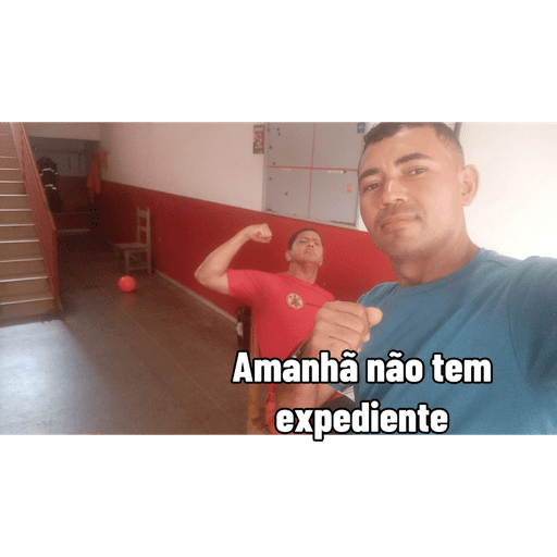 Minhas figurinhas 14