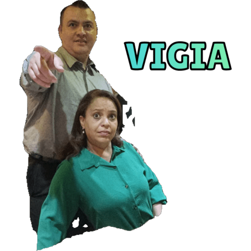 Criação  26
