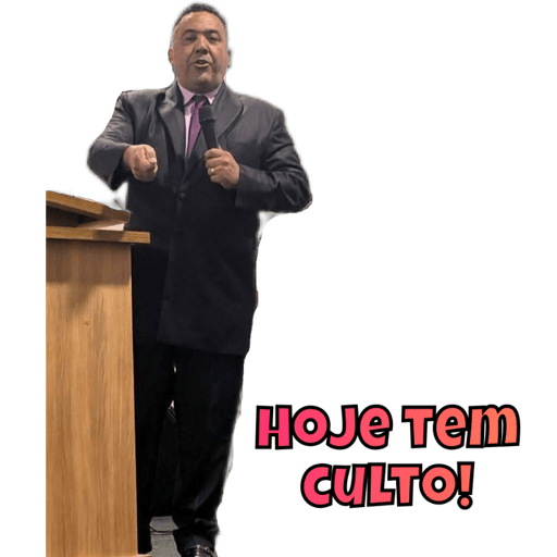 Criação  15