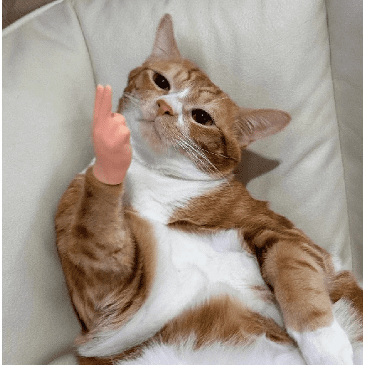 Random 3 7