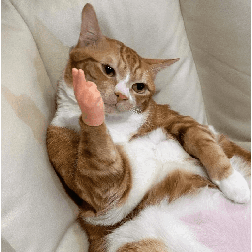Random 3 8
