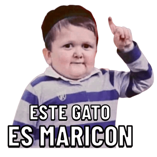 PUROS CERDOS 13